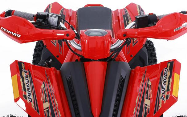 2026 Denago Powersports Trailhawk 10FI