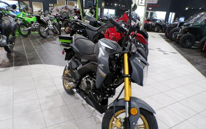 2024 Kawasaki Z125 PRO