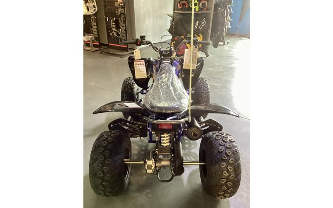 2025 Vitacci PENTORA 200