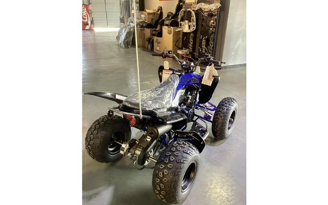 2025 Vitacci PENTORA 200