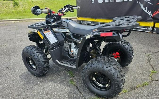 2026 Denago Powersports Trailhawk 10FI