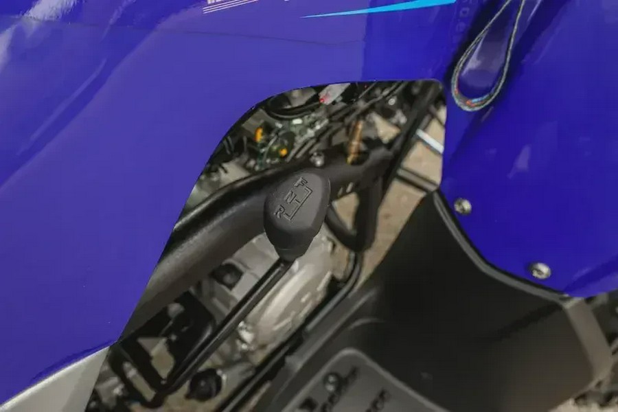 2026 YAMAHA RAPTOR 110