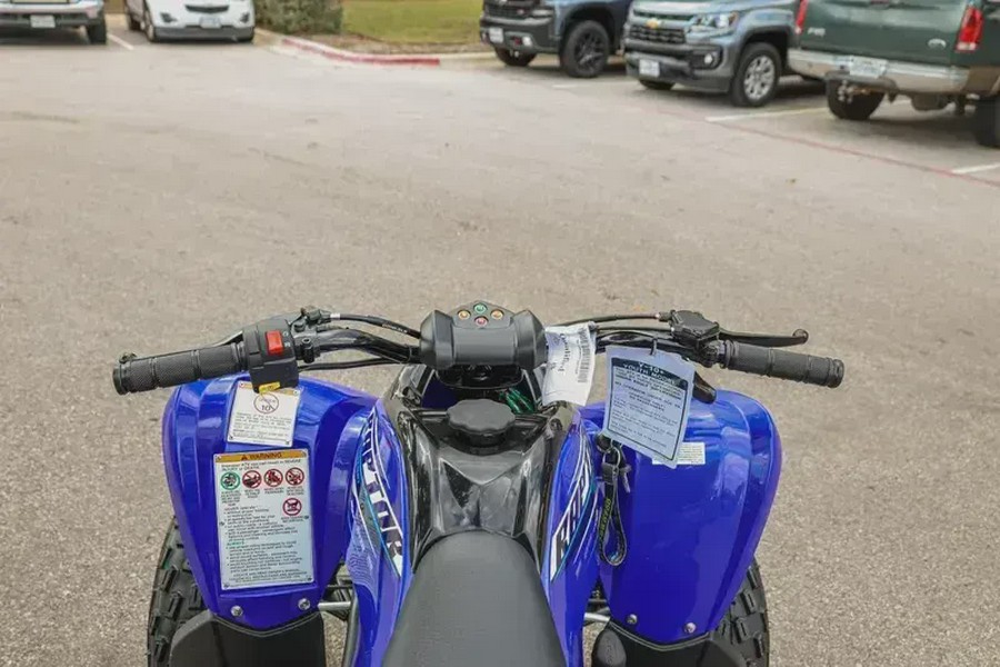 2026 YAMAHA RAPTOR 110