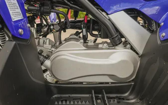 2026 YAMAHA RAPTOR 110