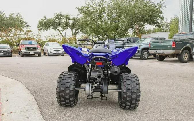 2026 YAMAHA RAPTOR 110