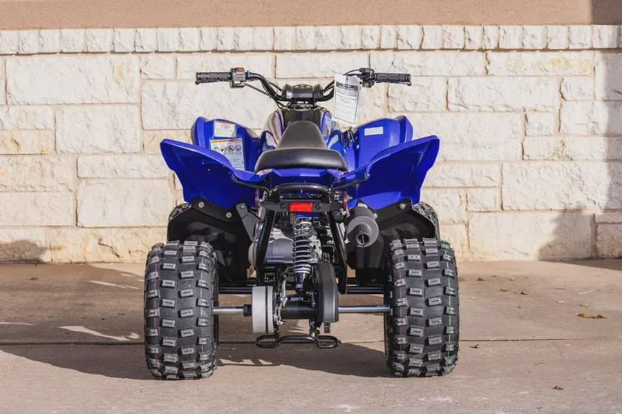 2026 YAMAHA RAPTOR 110