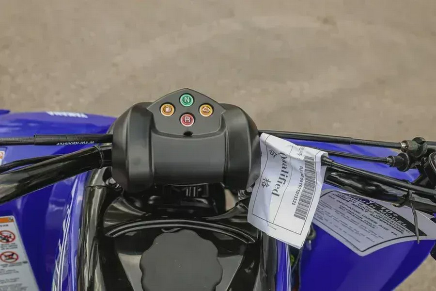 2026 YAMAHA RAPTOR 110