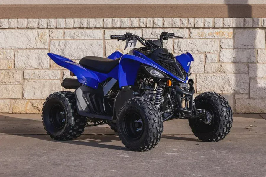 2026 YAMAHA RAPTOR 110