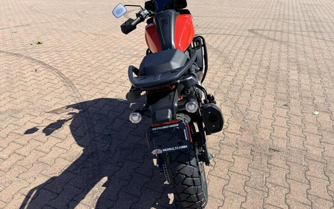 RA1250S 2026 Pan America® 1250 Special
