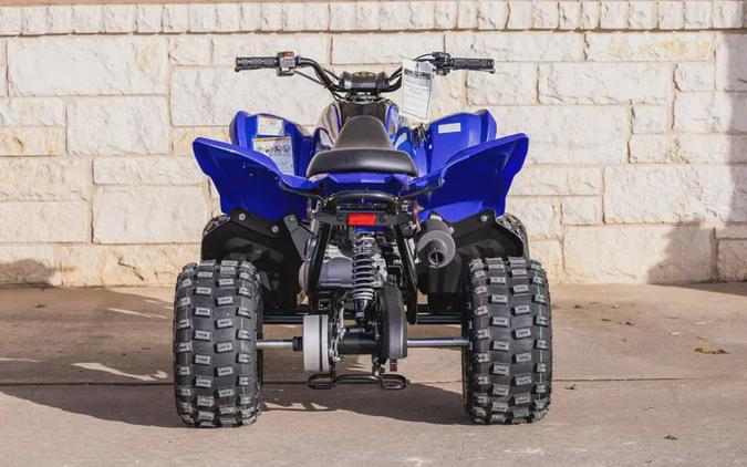 2026 YAMAHA RAPTOR 110
