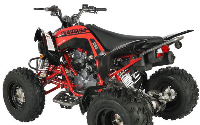 2025 Vitacci PENTORA 250