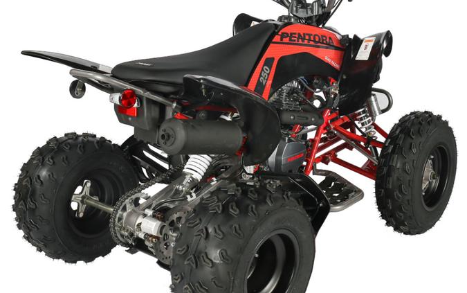 2025 Vitacci PENTORA 250