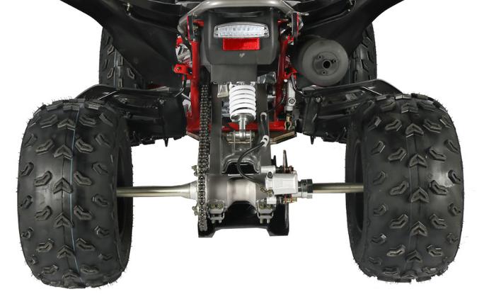 2025 Vitacci PENTORA 250