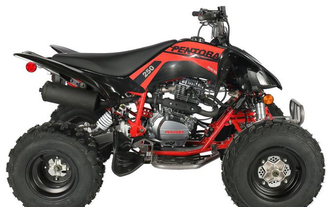 2025 Vitacci PENTORA 250