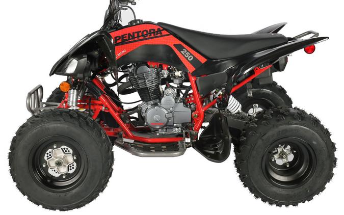 2025 Vitacci PENTORA 250