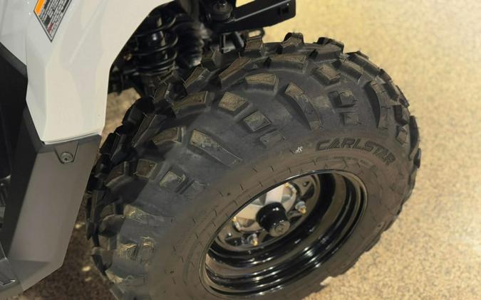 2026 Polaris Sportsman 450 H.O.