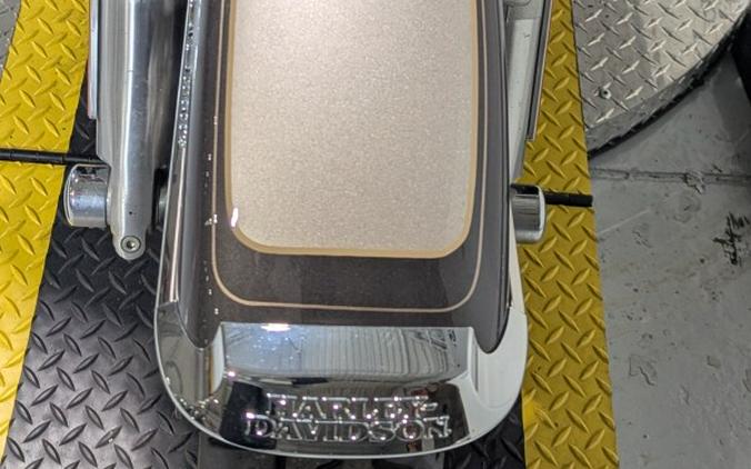 2023 Harley-Davidson® Tri Glide® Ultra Gray Haze/Silver Fortune