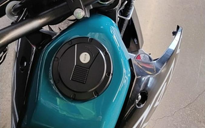 2022 Kawasaki KLX300SM