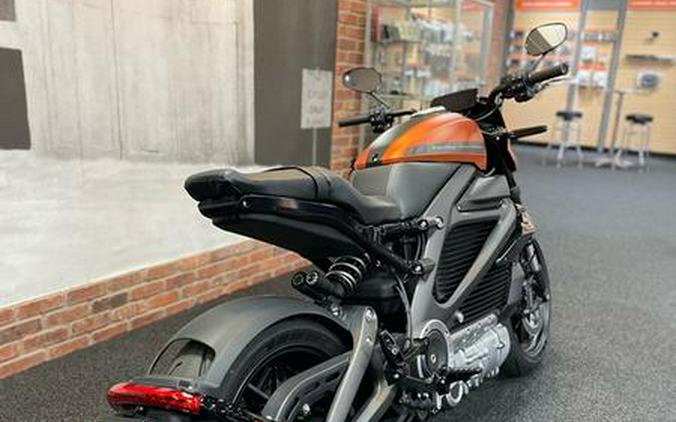 2020 Harley-Davidson® ELW - LiveWire™