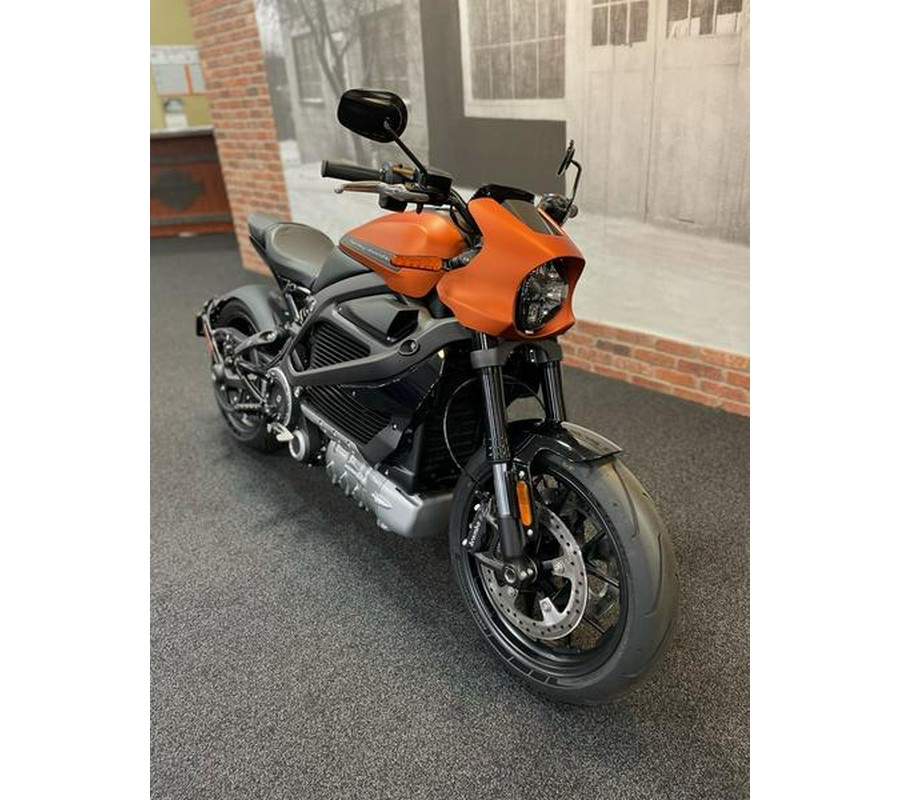 2020 Harley-Davidson® ELW - LiveWire™