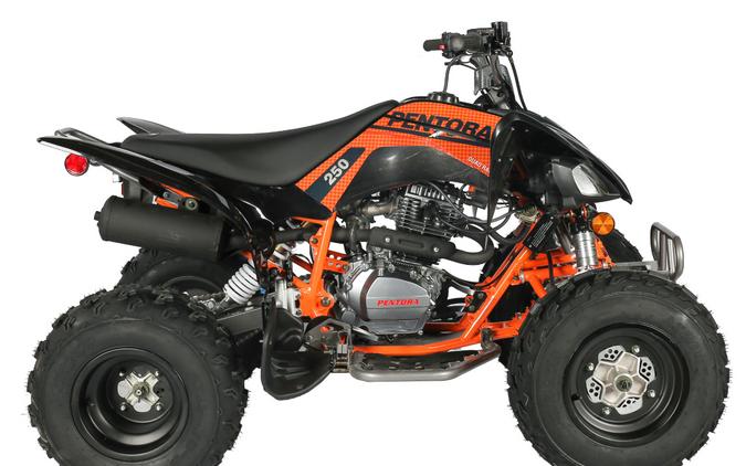 2025 Vitacci PENTORA 250