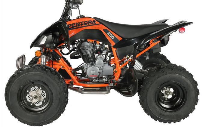 2025 Vitacci PENTORA 250