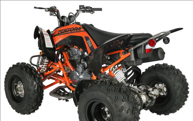 2025 Vitacci PENTORA 250