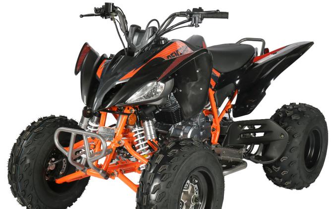 2025 Vitacci PENTORA 250