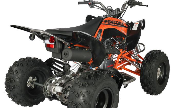 2025 Vitacci PENTORA 250