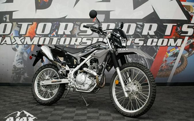 2023 Kawasaki KLX 230 S ABS