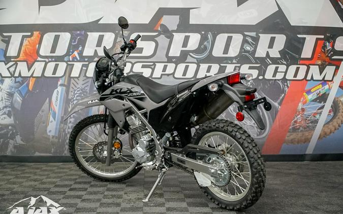 2023 Kawasaki KLX 230 S ABS