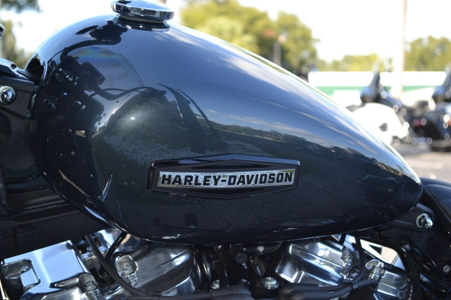 2025 Harley-Davidson® Street Bob® Iron Horse Metallic - FXBB