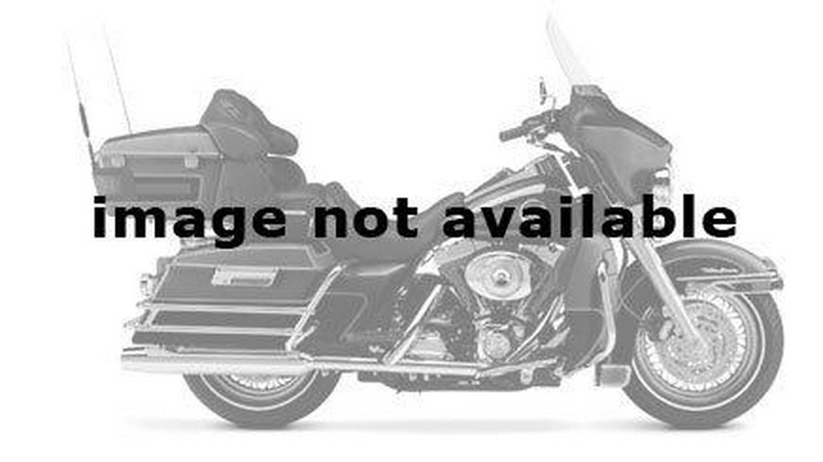 2002 Harley-Davidson FLHTCUI Ultra Classic® Electra Glide®