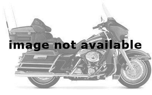 2002 Harley-Davidson FLHTCUI Ultra Classic® Electra Glide®