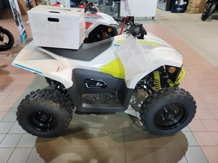 2024 CFMOTO CForce EV110