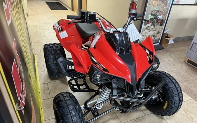 2026 Kayo Storm 300 EFI