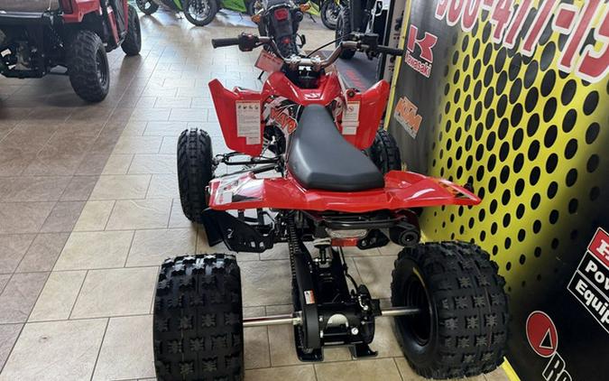 2026 Kayo Storm 300 EFI
