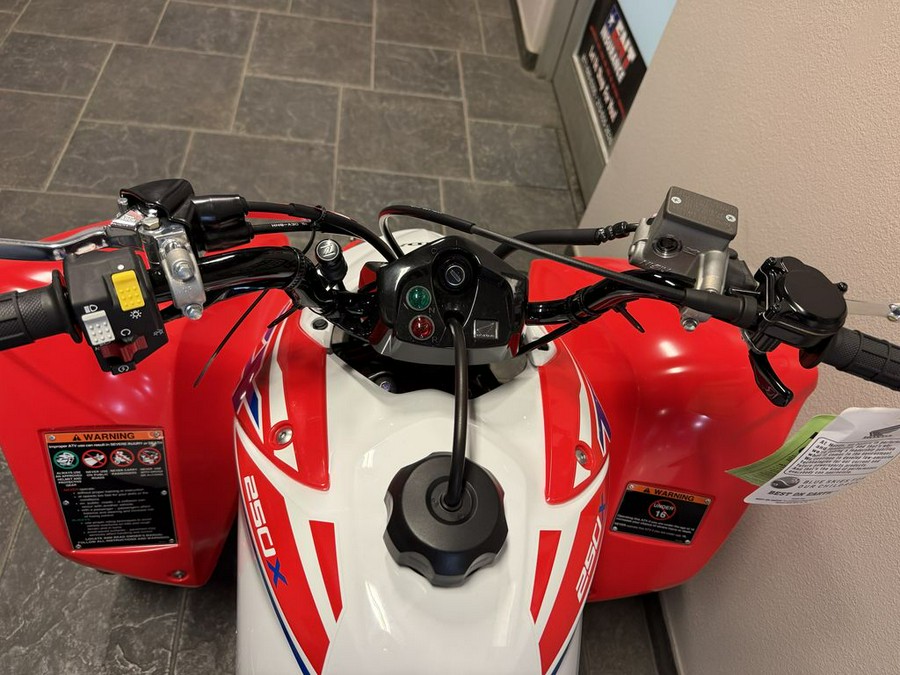2026 Honda TRX® 250X