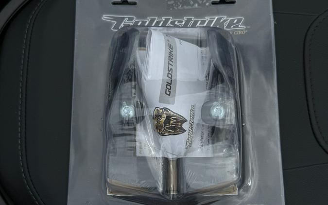 2023 HONDA GOLDWING DCT