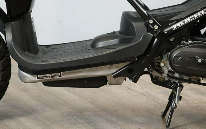 2024 Honda Ruckus