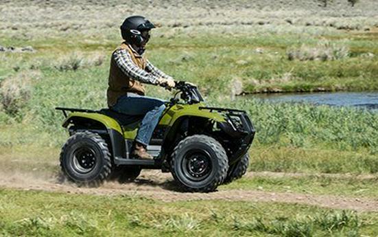 2016 Honda FourTrax Recon ES