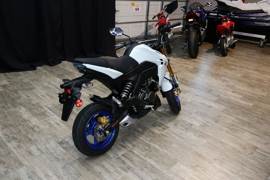 2026 Kawasaki Z125 PRO