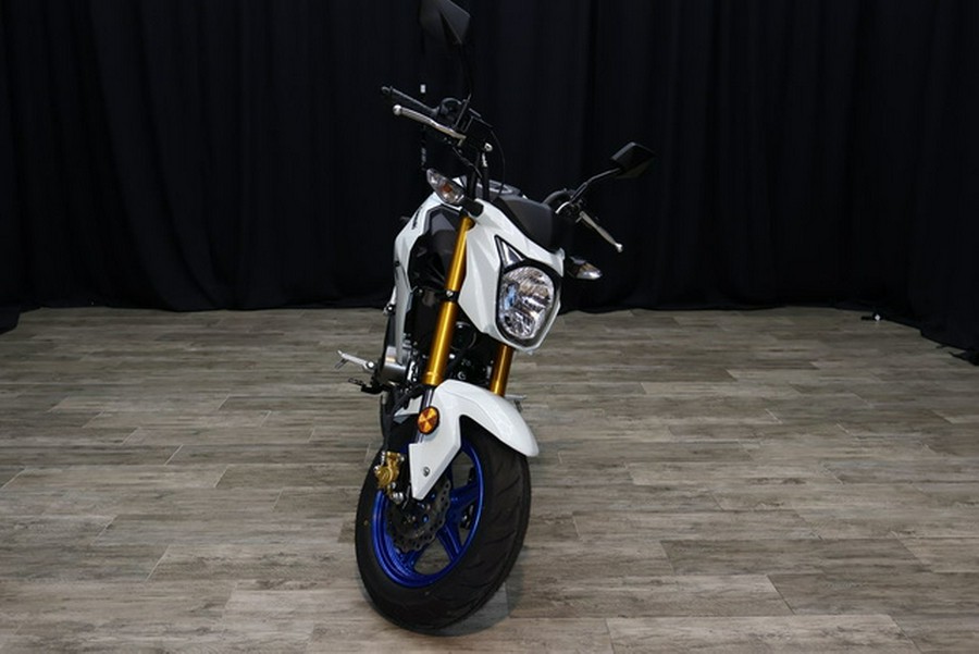 2026 Kawasaki Z125 PRO