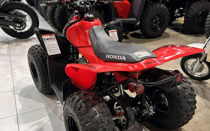 2024 Honda TRX90X