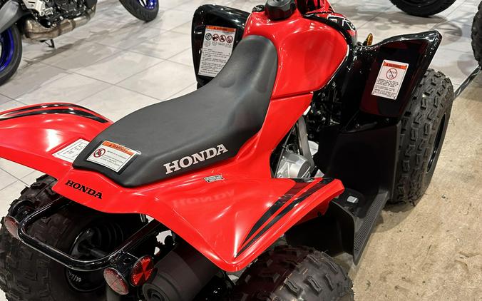 2024 Honda TRX90X