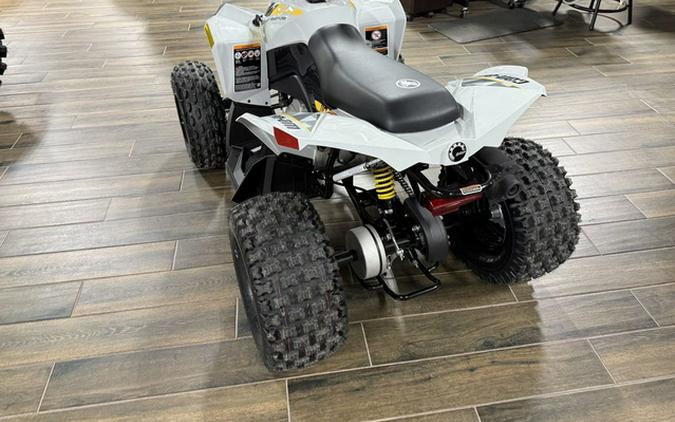 2026 Can-Am Renegade 110 EFI