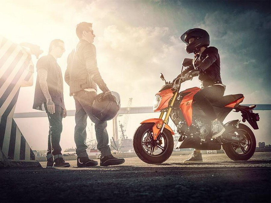 2025 Kawasaki Z125 PRO