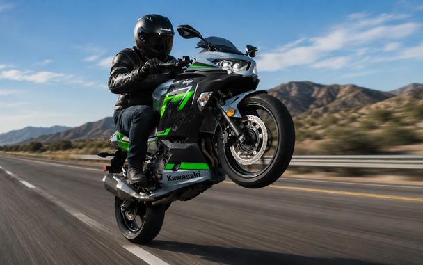 2019 KAWASAKI NINJA 400 ABS - FA32289