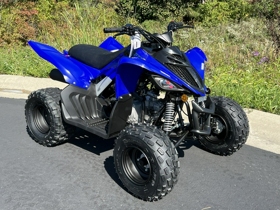 2025 Yamaha Raptor 110 (YFM01RYXSG) 110