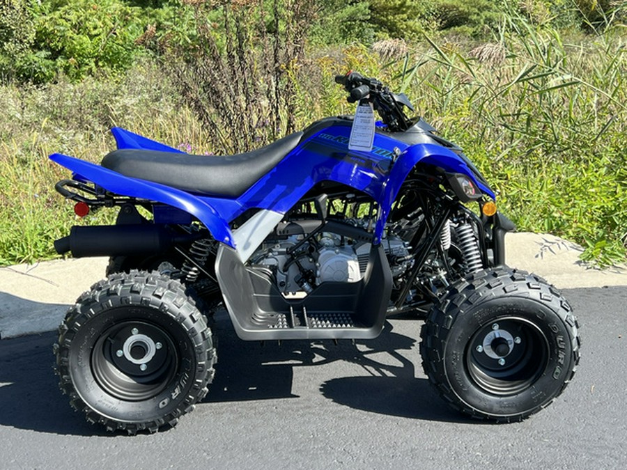 2025 Yamaha Raptor 110 (YFM01RYXSG) 110